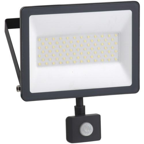 Schneider LED reflektor mozgásérzékelővel 50W, 5000lm, 4000K, IP44 (Mureva)