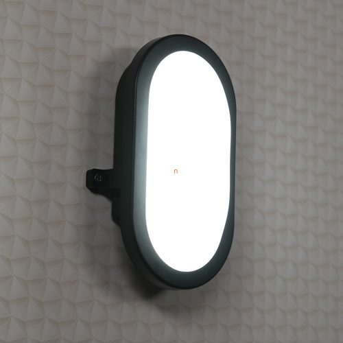 Ledvance LED Bulkhead 11W mennyezeti LED lámpa IP54 fekete