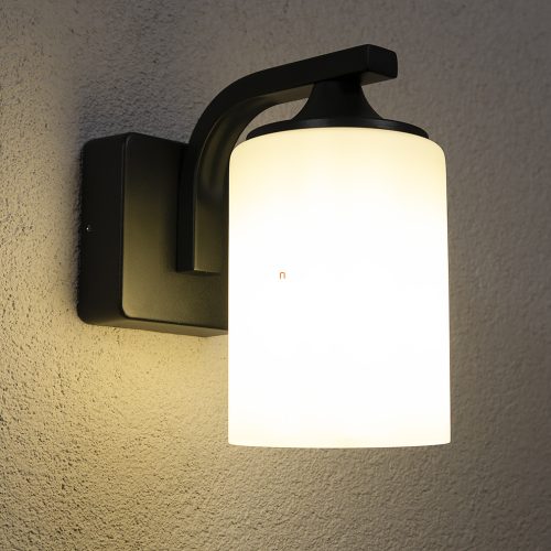 Ledvance Endura Classic Lantern Cyl kültéri falikar fa mintás IP43