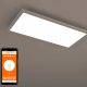 Ledvance Smart+ WIFI Planon Plus LED panel 22W 3000-6500K 600x300mm