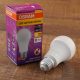 Osram E27 antibakteriális LED fényforrás 13W 1521lm 2700K - 100W izzó helyett