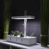 Ledvance LED-es palánta nevelő, automatikus időzítővel, 20 W (Garden)