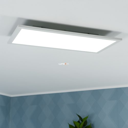 Ledvance LED panel, hidegfehér, 22 W, 30x59,5 cm (Planon Plus)