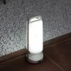 Lutec 6904101331 Dragonfly IP54 napelemes kültéri hordozható LED lámpa