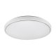 DEL1748 Jazzy LED IP44 mennyezeti lámpa 4000K, 24W, 1920lm, 380mm, kerek forma, csillogó búra, deLux