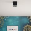 Philips mennyezeti LED spot (myLiving Box)