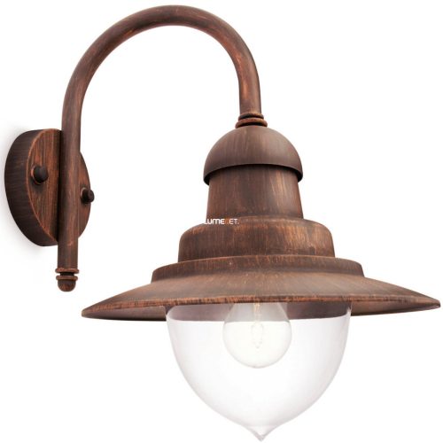 Philips 01652/06/PN Raindrop kültéri falikar IP44