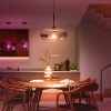 Philips Hue White and Color Ambiance 13,5W E27 LED fényforrás