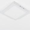 Philips mennyezeti LED lámpa, hidegfehér, 12 W, 21x21 cm