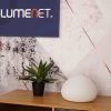 Philips Hue Wellner White Ambiance LED mennyezeti lámpa, fehér + DIM Switch