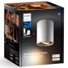 Philips Hue spot lámpa, fehér + DIM Switch (Pillar White Ambiance)