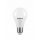 LED izzó gömb E27 15W 6500K  1430 lumen (A65)